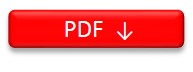 pdf icon2